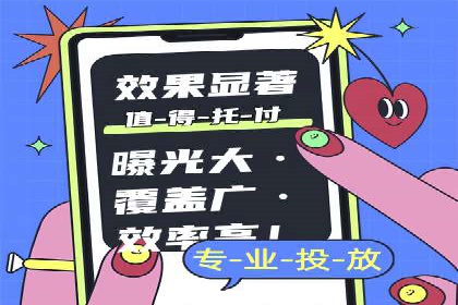 提升转化率：SEM竞价专员的案例研究
